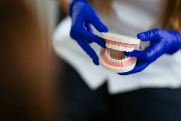 Best Pediatric Dentistry  in Brighton, TN